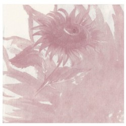 SERVILL.GIRASOL BURDEOS C/1000
