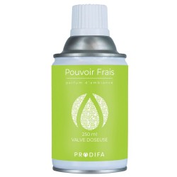 CARGA AMB. POUVOIR FRAIS 250 ML.