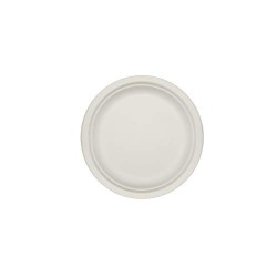 PLATO *BAGAZO* 22 CM....