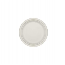 PLATO *BAGAZO* 22 CM....