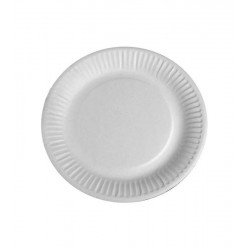 PLATO CARTON 27 CM. 15008 P/100