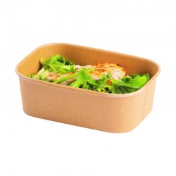 ENVASE KRAFT LAMINADO PP...
