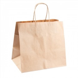 BOLSA PAPEL ASA CORDON PQ *R167.11* C/250